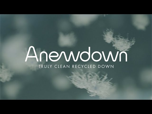 【商品プロモーション】Anewdownのアイキャッチ画像